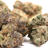 Oregon Huckleberry Indoor THCa Flower Wholesale - 1/2 LB